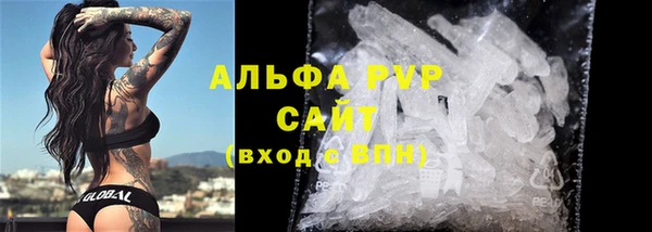 шишки Лабытнанги