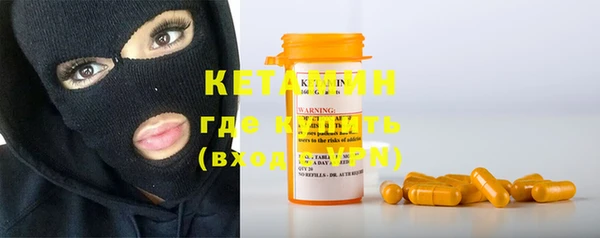 шишки Лабытнанги