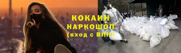 шишки Ладушкин