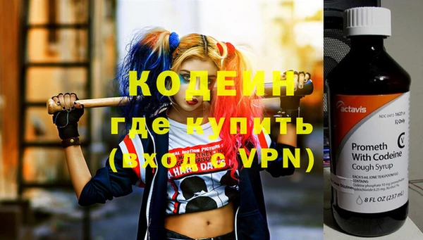 шишки Лабытнанги