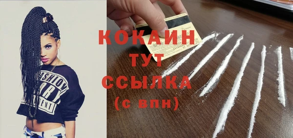 шишки Лабытнанги