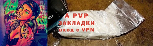 шишки Лабытнанги