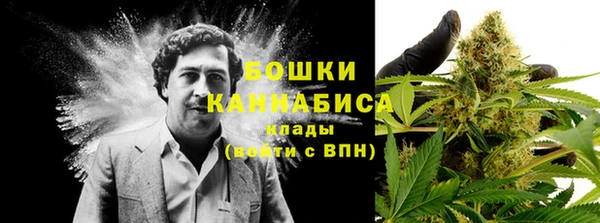 шишки Ладушкин