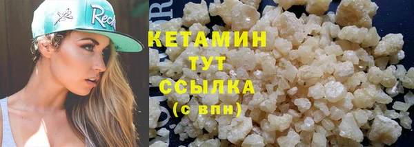 шишки Лабытнанги