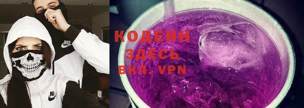 шишки Лабытнанги