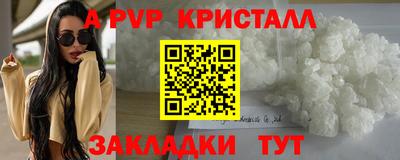шишки Кингисепп