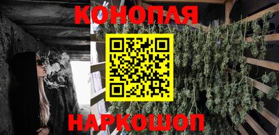 сатива Донской