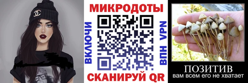 Галлюциногенные грибы Psilocybe  Кулебаки 
