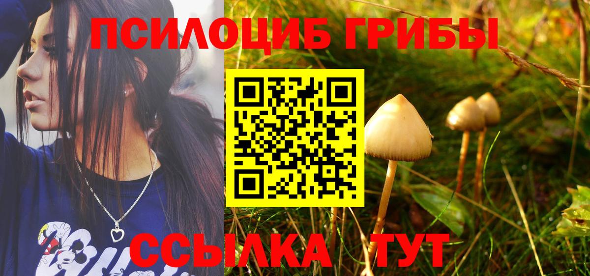 Кулебаки  Галлюциногенные грибы MAGIC MUSHROOMS  Псилоцибиновые грибы мухоморы  Вход с VPN 