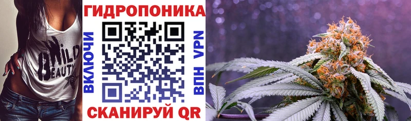 где купить наркотик  Кулебаки  Канабис сатива 